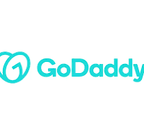  best WordPress hosting Company